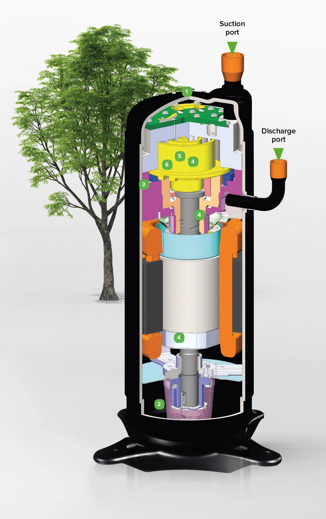 mycond-image-1