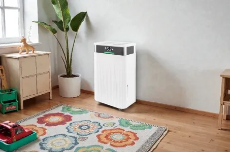 Вологопоглинач або осушувач повітря - що краще для будинку