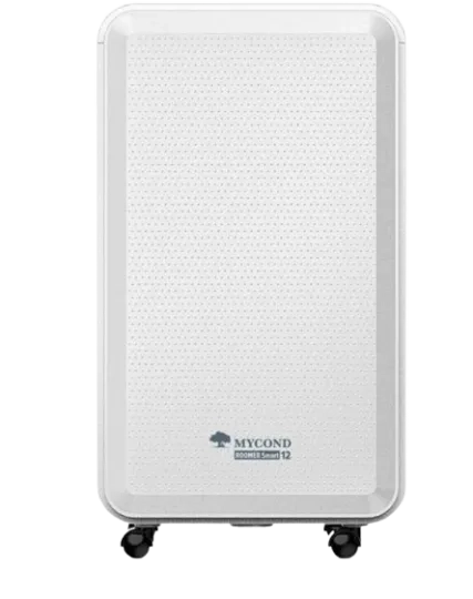 Побутові осушувачі повітря Roomer Smart 12