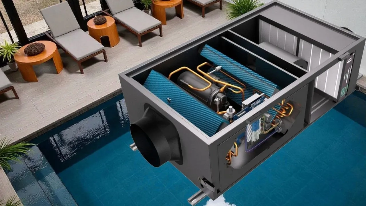 Чи може в осушувачі розвиватися цвіль: гігієна та обслуговування MSHA(C)