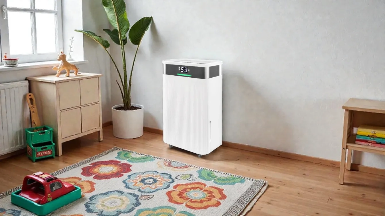 Вологопоглинач або осушувач повітря - що краще для будинку